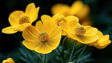 Fototapeta premium Close-up view of bright yellow flowers with delicate petals and detailed stamens in a natural setting, surrounded by green foliage.