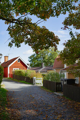 cozy neighborhood with nature and traditional houses