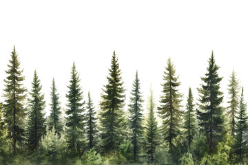 Fototapeta premium A collection of evergreen trees with lush green foliage against a white background.