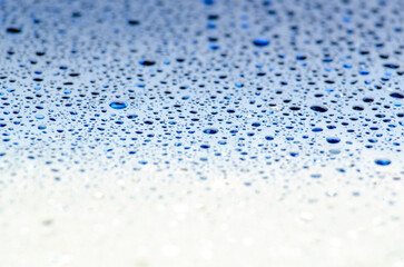 Water droplets on gradient cover background. Water droplets concept.