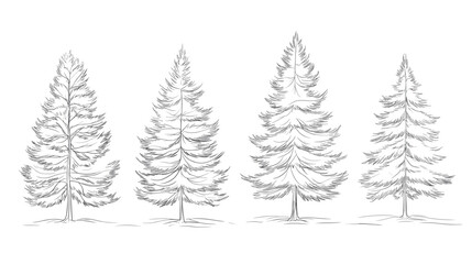 Fototapeta premium Architectural Drawings Minimal style cad tree line drawing set of green fir trees isolated on the white background, Christmas pine tree vector illustration outline symbol for landscape design drawing