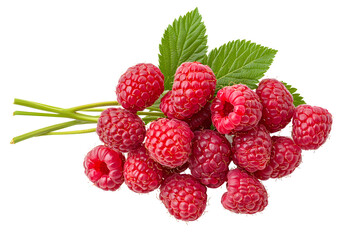 Red ripe raspberries with green leaves on a branch isolated on a white background.	