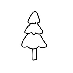 abstract conifer pine fir 