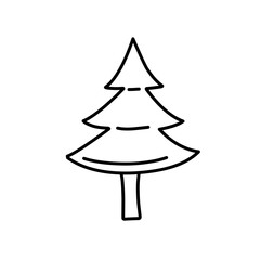 abstract conifer pine fir 