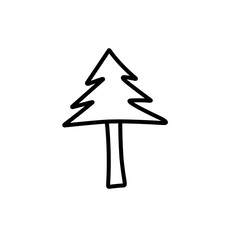 abstract conifer pine fir 