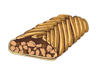 Apple strudel pastry hand drawn illustration