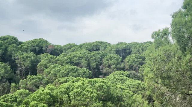 Grey storm clouds on the mountain.
