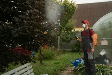Gardener wearing a protective mask sprays trees in a garden using a backpack sprayer. The process...