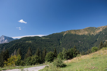 vista panoramica su un ambiente naturale di montagna, in Italia, nel Friuli Venezia Giulia settentrionale, sotto un cielo sereno e azzurro, in estate