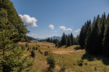 vista panoramica su un selvaggio ambiente naturale di montagna nell'Italia settentrionale, di giorno, in primavera, sotto un cielo sereno