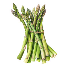 vegetable element isolated on transparent background,  vegetables collection, summer clipart