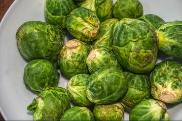 sprouts