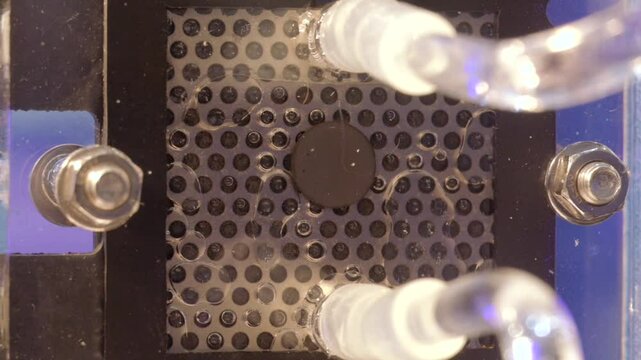 Hydrogen gas bubbles forming on the membrane of an electrolyzer, splitting water into hydrogen and oxygen using electric energy. Close-up, Macro shot, Full HD crop.