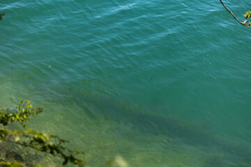superficie d'acqua, color verde smeraldo, di un fiume, con vista sul profondo fondale, durante il giorno