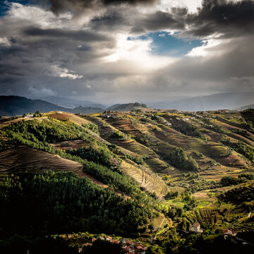 Paisagem do Douro Vinhateiro