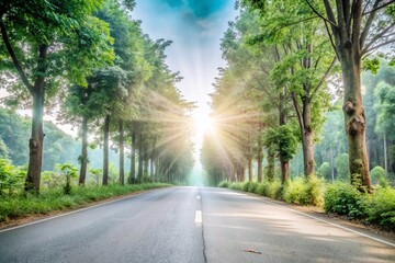 Fototapeta premium Discover the serene beauty of forest paths. Capture nature's tranquility through minimalist photography, showcasing the simplicity and elegance of