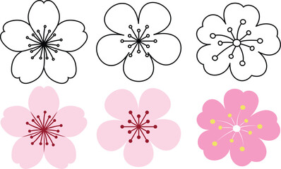 Peach blossoms outline coloring page. China lunar new year colouring page for kids