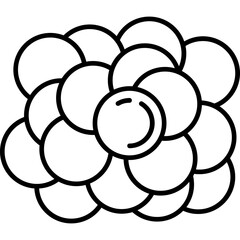 Nucleus Icon