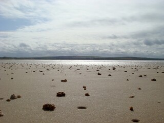 Wet Sands with Worm Castings