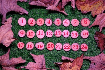 Red numbers 1 to 24 displayed on little wooden log buttons against a bright green grass background surrounded by dry leaves, lit by red light, suitable for Christmas advent.