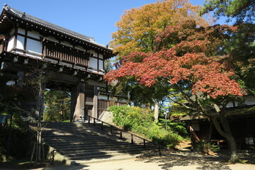 久保田城の表門と紅葉