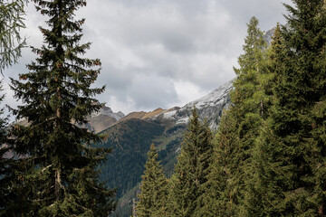 pendii e cime montuose distanti viste da dietro alcuni abeti di un bosco di montagna, di giorno, in autunno