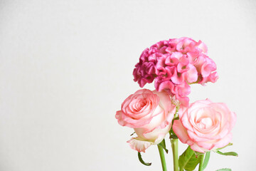 薔薇とケイトウ