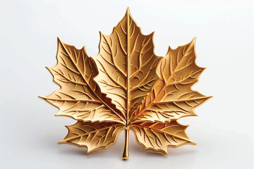 autumn leaf with white background