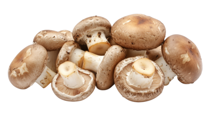 A colorful display of various mushrooms on vibrant background, feast for the eyes and delight for the senses