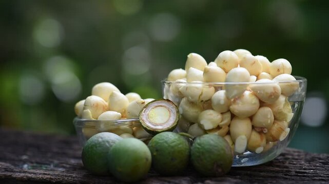 Alexandrian laurel or Calophyllum inophyllum fruits on natural background.