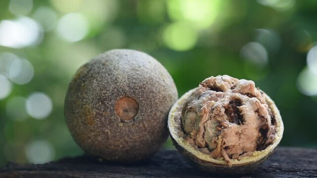 Limonia or Feronia limonia (L.) Swingle fruits on natural background.