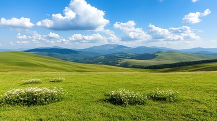 Fototapeta premium Green Rolling Hills Landscape with Blue Sky and White Clouds