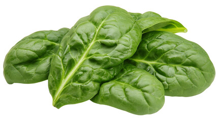 Obraz premium Fresh spinach leaves on white background