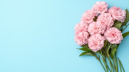 Pink Carnations Bouquet on Blue Background   Floral Arrangement for Mother s Day  Wedding