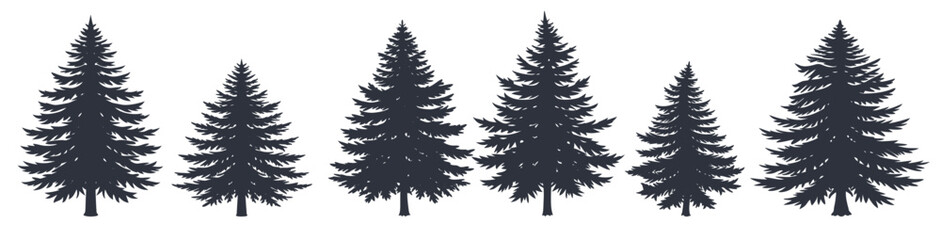 Set of coniferous evergreen fir trees silhouettes