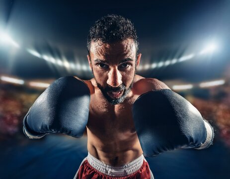 Un boxeador en primera persona