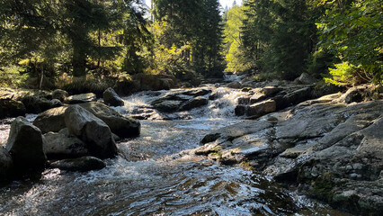 A small mountain river with a flow of water in the Polish mountains. Eastern Sudetes