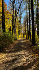 Obraz premium Hiking trail in a mountain autumn forest in Poland.