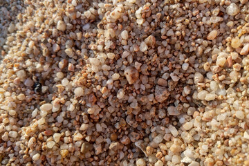 Close-Up of Sandy Beach Pebbles for Nature and Texture Design