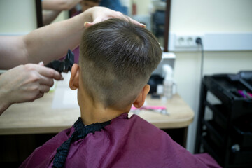 Side view of cute little boy getting haircut by hairdresser at the barbershop.