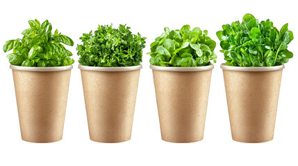 Fototapeta premium Aromatic culinary herbs, grow fresh basil, mint, and thyme in pots for delicious dishes homegrown flavors