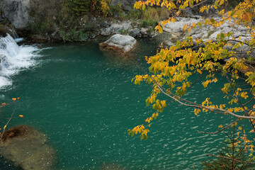 dettaglio dell'ambiente naturale lungo un torrente di montagna di giorno, in autunno, con l'acqua color verde smeraldo e tranquilla