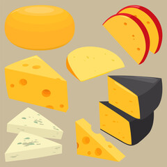 Set of dairy products, cheese sliced in pieces. Various types of cheese, blue cheese, emmental, gouda, cheddar, parmesan, brie or Swiss cheese. Vector illustration set