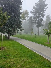path in the morning foggy park