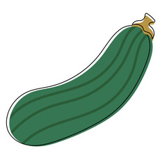 Cute zucchini vegetables vector illustration. Flat style illustration. Fall season draw for design. Summer green vegetable clip art in trendy minimalists style with outline. Isolated white back.
