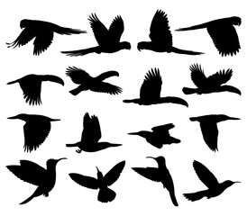 Black silhouette illustrations of various birds isolated on transparent background	