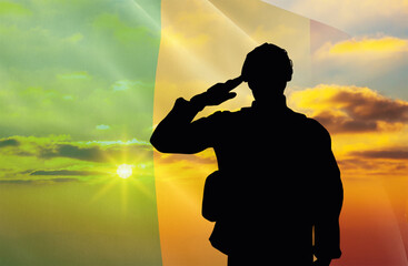 Silhouette of a soldier with a background of the Mali flag and a sunset or sunrise. Concept of national holidays. Commemoration Day.