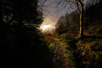 Obraz premium Fairy Trails in the Highlands