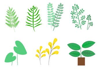 Exploring the diversity of leaf shapes and colors , cartoon vector isolated illustration.