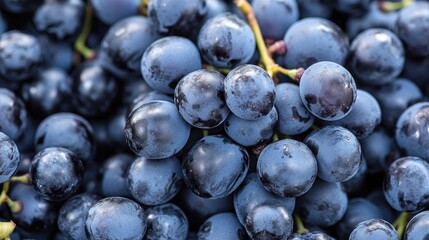 A close up image of vibrant ripe grapes grouped together highlighting their deep color and texture against a softly blurred natural backdrop